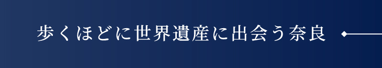 歩くほどに世界遺産に出会う奈良